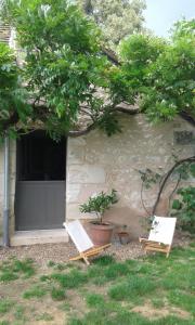 Maisons d'hotes la vigneraie : photos des chambres