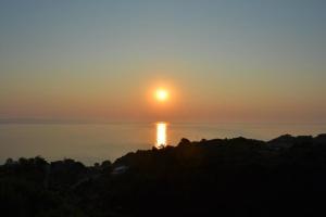 Fiore Hill Sea View Studios