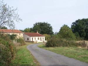 Les Hiboux photo 6