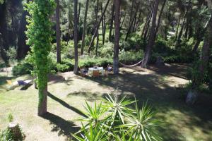 Beautiful summerhouse in Sani's pine forest Halkidiki Greece