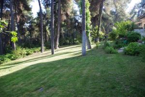 Beautiful summerhouse in Sani's pine forest Halkidiki Greece