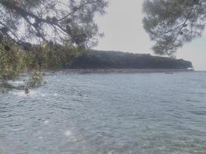 Apartman Adrian I David