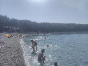 Apartman Adrian I David