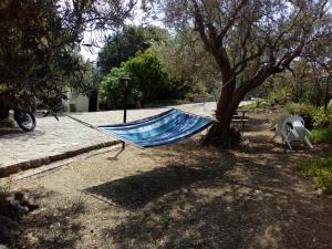 Molivos View Studios