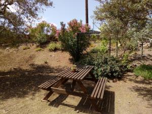 Molivos View Studios