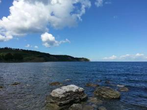 Apartments HALIAETUM