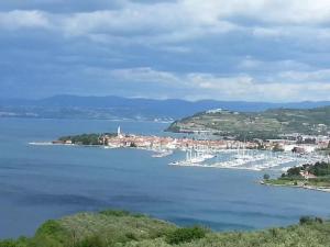 Apartments HALIAETUM