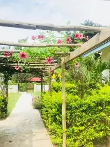 Coral Apartments - La Digue Island