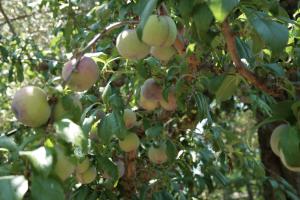 La Gaggia Guest House