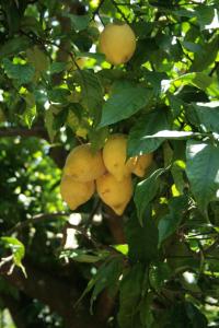 La Gaggia Guest House