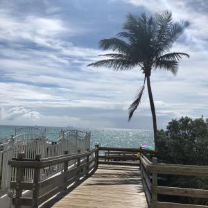 Exclusive Apartment By The Ocean