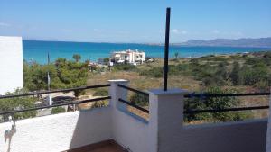 Summer View