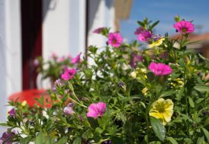 Casa di fiori Lefkada Greece