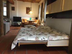 "Zur alten Schmiede", 70m2 Studio mit Kaminfeuer und Sauna