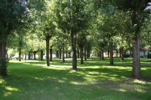 Camping les Borgnes Saint-Sozy