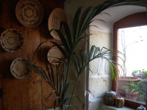 Piazza San Pantaleo img25