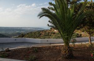 Sitia Balcony View Lasithi Greece