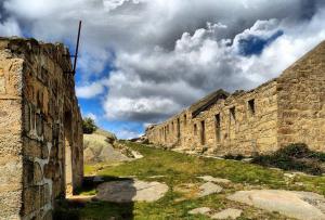 A Cobiça do Mundo