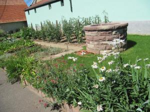 B&B / Chambres d'hotes La Ferme de Louise : photos des chambres