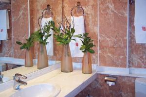 Hotel Sant Quirze De Besora