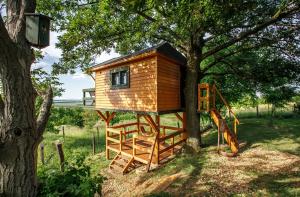 Ferienhaus Dióliget - Zöld Fészek Lombház Lovasberény Ungarn