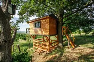 Dióliget - Zöld Fészek Lombház - Vértesboglár