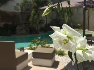 Le Cale camere in residence