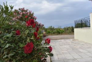 Garden Villas Messinia Greece