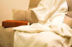 Suite 5B, Cultura, Garden House, Welcome to San Angel