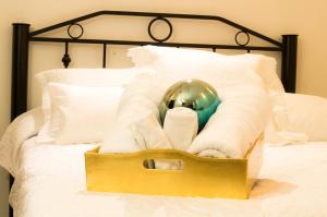 Suite 5B, Cultura, Garden House, Welcome to San Angel