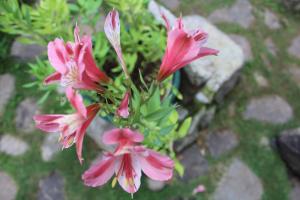 2024 Baguio Apartments 1