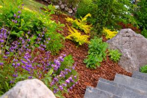 Apartmaji Rajska Ptica