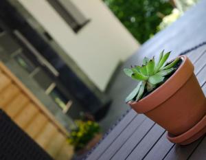 Apartmaji Rajska Ptica