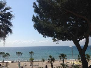 Appartements Cannes Terrace Beach Front & Sea view : photos des chambres