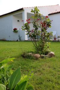 BnB Anacleto img46