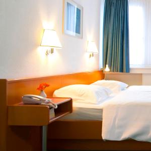 Double Room room in Hotel Francais