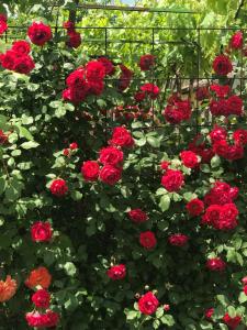 Guesthouse Planinsko Gnezdo