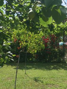 Guesthouse Planinsko Gnezdo
