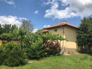 Guesthouse Planinsko Gnezdo