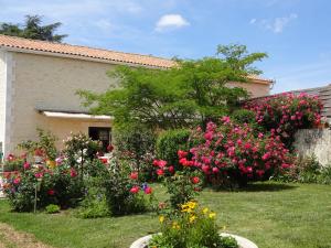 Maisons d'hotes Aux Orangers : photos des chambres