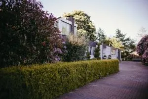 An der Kastanie - 维斯莫尔