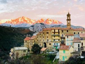 Appartements Charmant F2 dans joli village Corse : photos des chambres