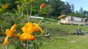 Campings La Roulotte des Bords de l'Ance : photos des chambres