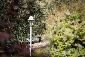 Apartments Marija & Anton