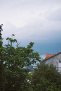 Porodični