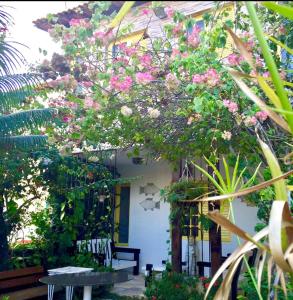 Casa Praia dos Carneiros