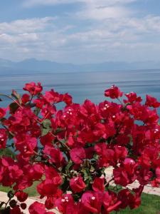 Panorama Beach Messinia Greece