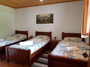 Basic Triple Room room in Shpella Guesthouse Theth