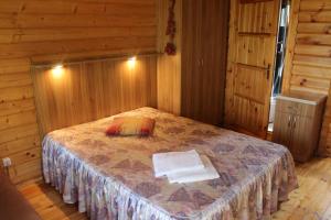 Svečių namai Dzūkai