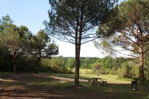 Lodges La Cabane a Papi : photos des chambres